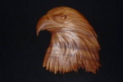 Eagle-in-walnut